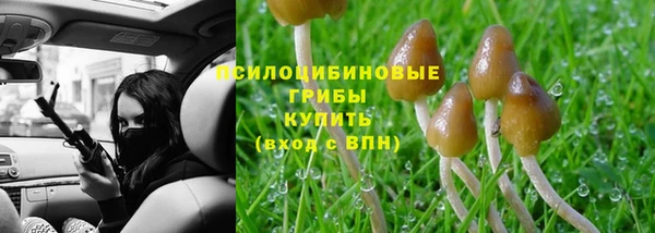 а пвп мука Алзамай