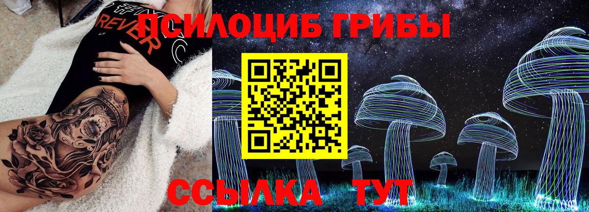 Галлюциногенные грибы прущие грибы  Галлюциногенные грибы Magic Shrooms  купить  цена  Калач-на-Дону  Вход с VPN 
