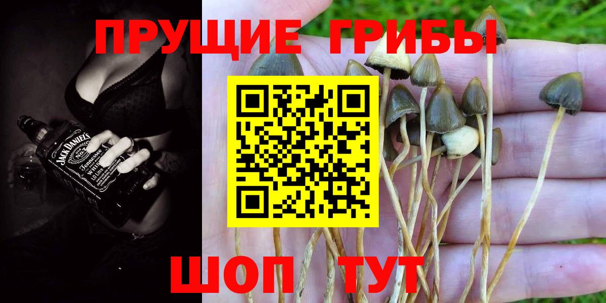 Галлюциногенные грибы GOLDEN TEACHER Калач-на-Дону